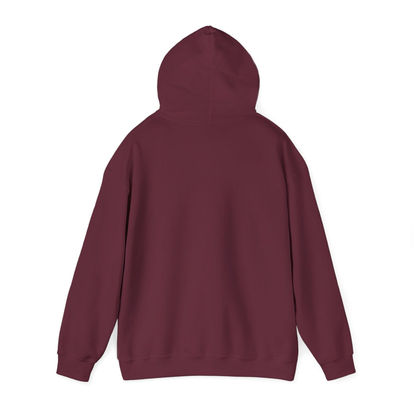 Forever Chasing Sunsets Hoodie — Retro Sunset Graphic Hooded Sweatshirt