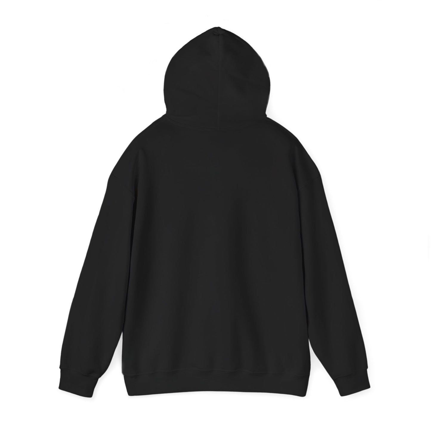 Hoodie — “He Will Give You Beauty for Your Ashes” Faith Verse Christian Hoodie