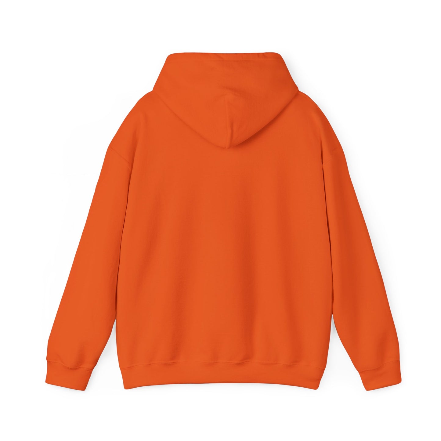 Forever Chasing Sunsets Hoodie — Retro Sunset Graphic Hooded Sweatshirt